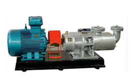 2GaRT-系列高温粘胶输送泵产品图4